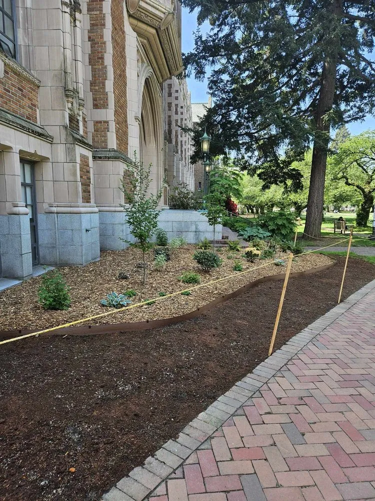 Expert landscaping services with custom design across Seattle, WA - Aloha Evergreen