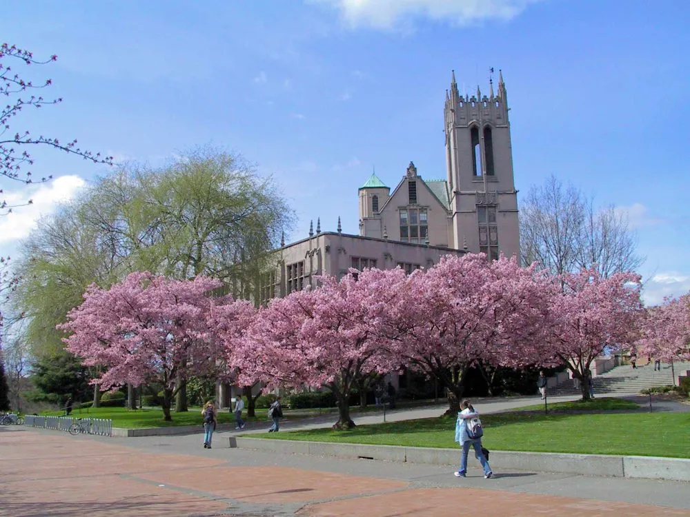 Top-rated residential landscaping near you across Seattle, WA - Aloha Evergreen