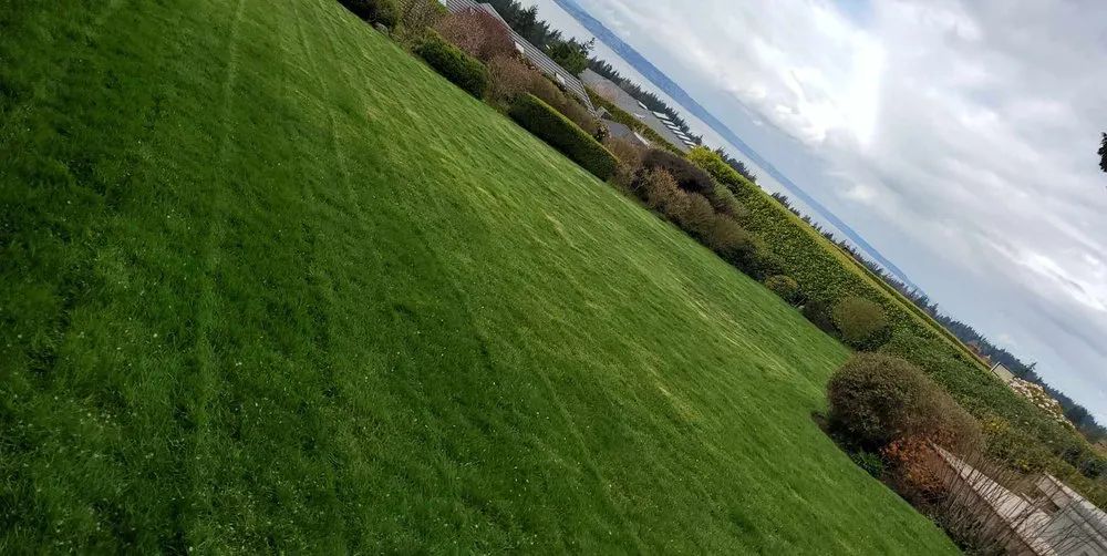Custom landscape installation in Seattle, WA - Aloha Evergreen