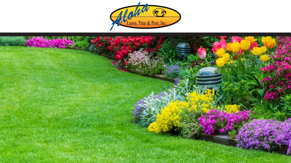 Custom garden landscaping experts serving Boise, ID - Aloha Gardening