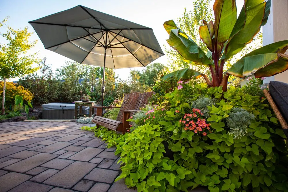 Affordable landscaping services in Boise, ID by Aloha Gardening