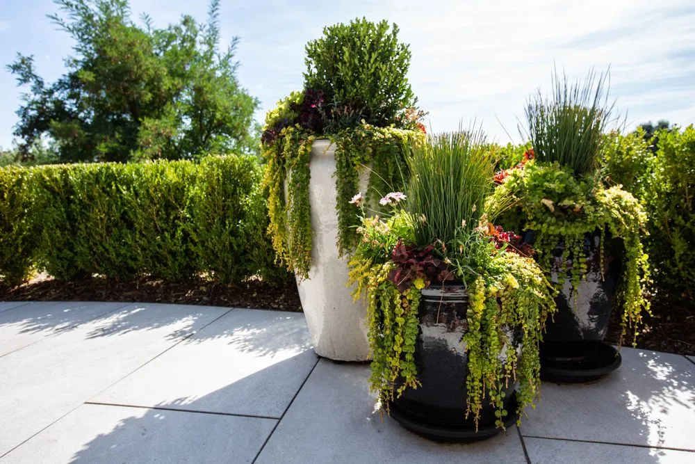 Top-rated residential landscaping for year-round maintenance in Boise, ID by Aloha Gardening