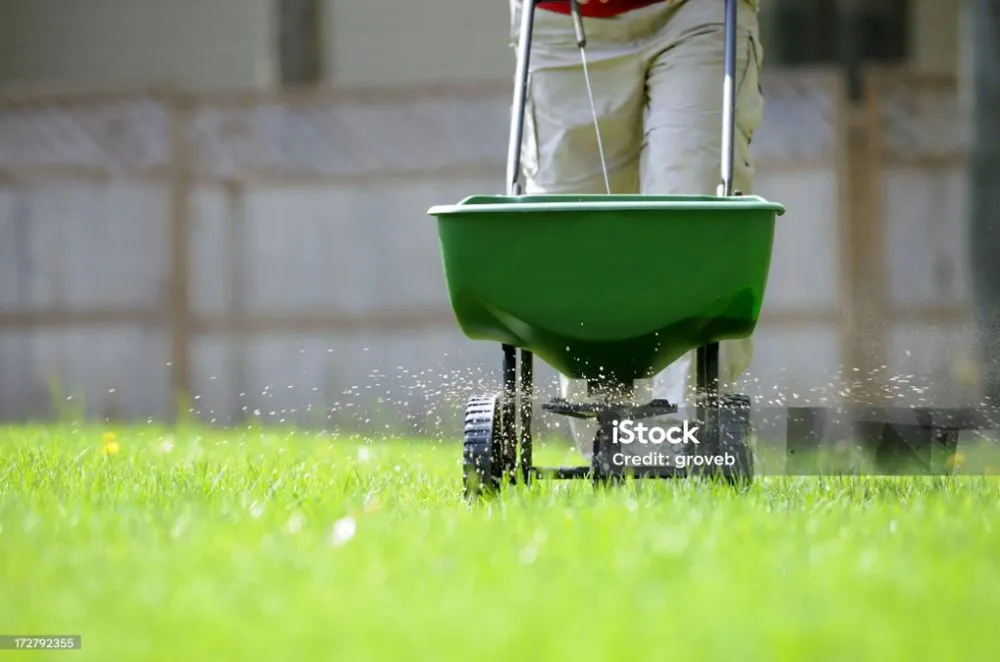 Custom landscape design in Boise, ID - Aloha Gardening