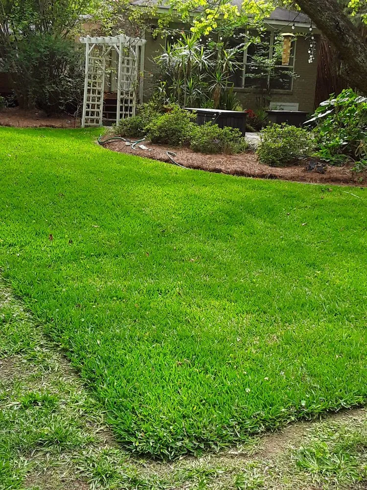 Top-rated yard cleanup service for residential properties in Fairhope, AL by Aloha grass lawn care