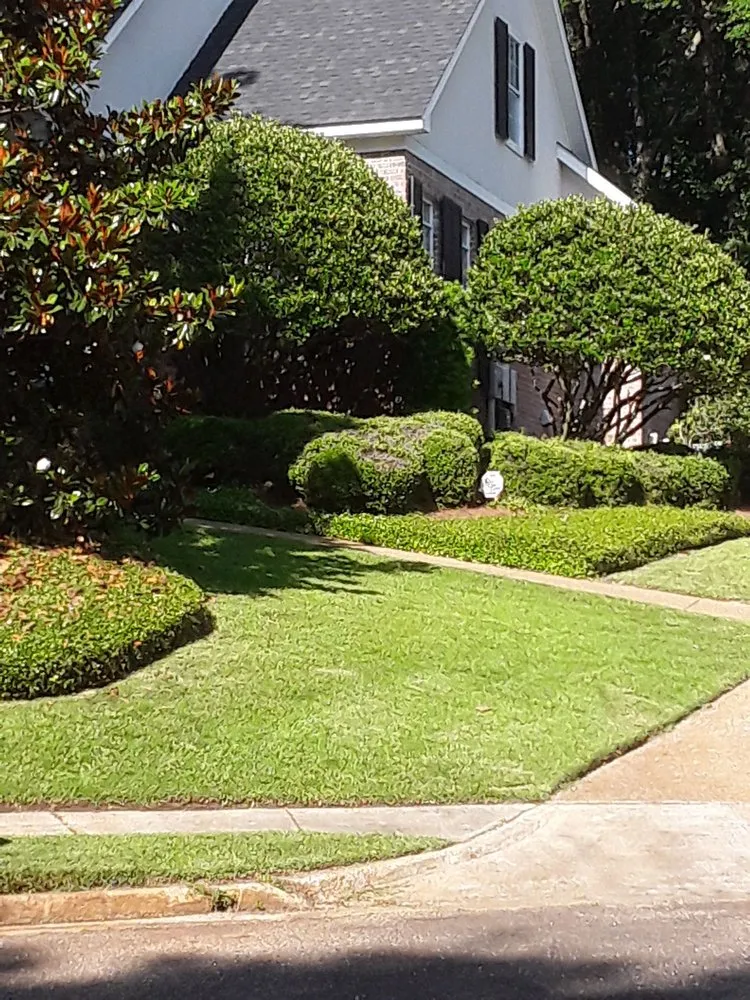 Top-rated lawn care service in Fairhope, AL - Aloha grass lawn care