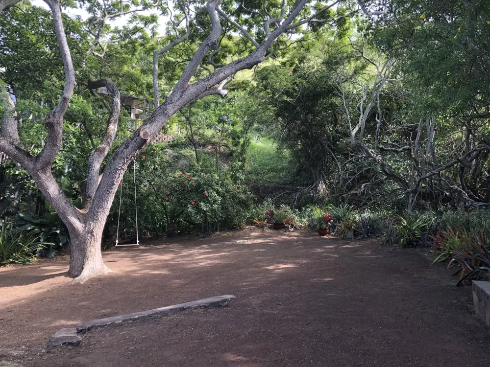 Trusted landscaping services in Kailua, HI by Aloha Hydroseed