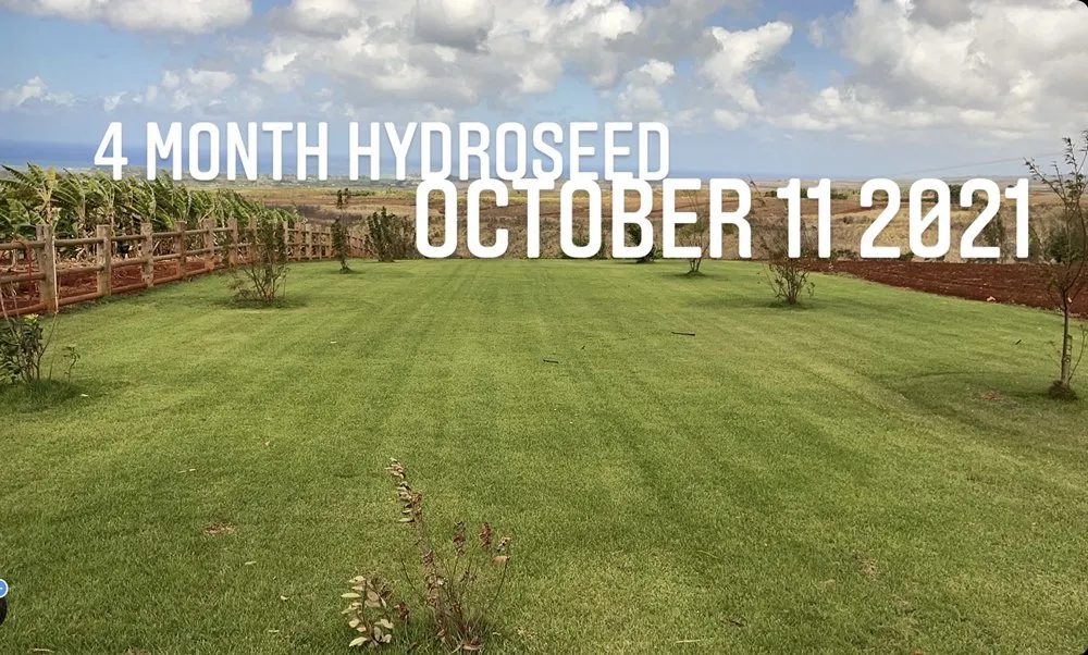 Top-rated lawn care service in Kailua, HI by Aloha Hydroseed