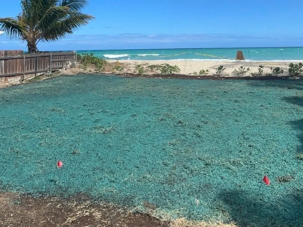 Custom garden landscaping near you across Kailua, HI - Aloha Hydroseed