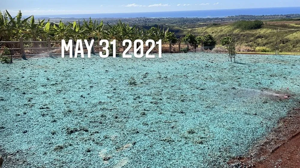 Top-rated landscape installation for beautiful yards in Kailua, HI by Aloha Hydroseed