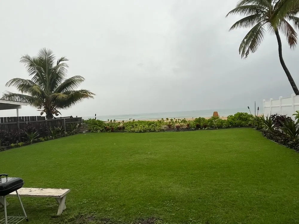 Professional landscaping services in Kailua, HI - Aloha Hydroseed