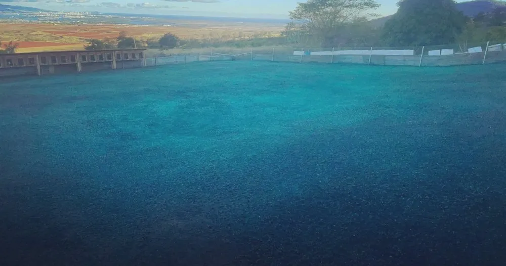 Trusted lawn care service in Kailua, HI - Aloha Hydroseed