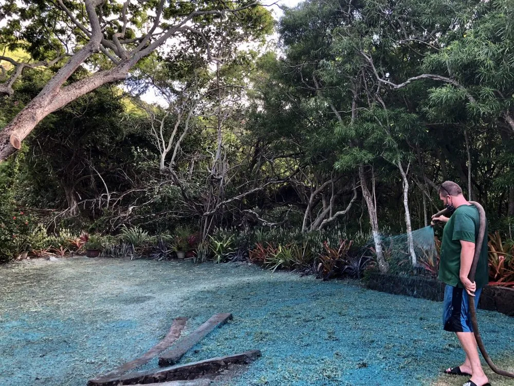 Professional landscape installation in Kailua, HI by Aloha Hydroseed