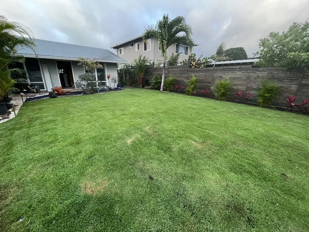 Custom lawn care service in Kailua, HI - Aloha Hydroseed