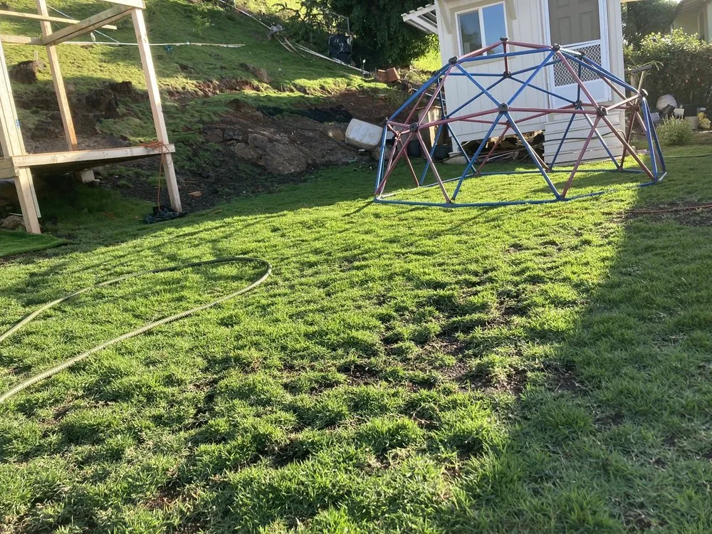 Expert landscaping services experts serving Kailua, HI - Aloha Hydroseed