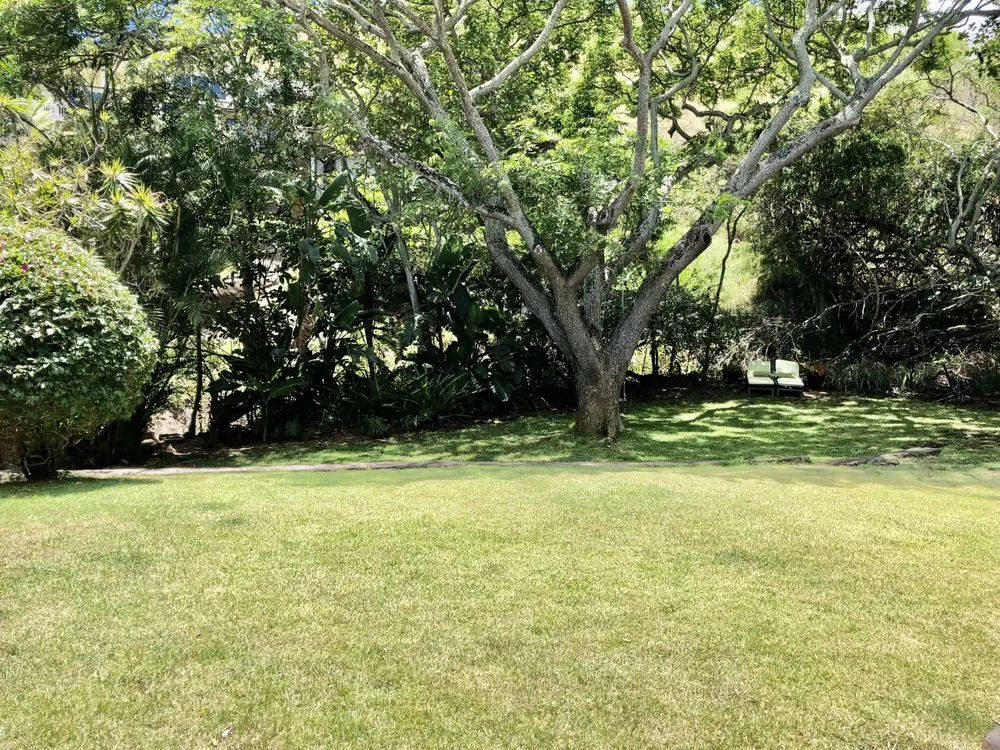 Local outdoor landscaping for homes across Kailua, HI - Aloha Hydroseed