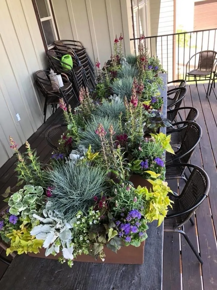 Expert yard maintenance in Lehi, UT by Aloha Landscape & Lawn