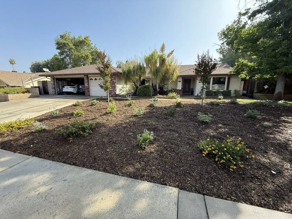 Reliable yard cleanup service near you across Hemet, CA - Aloha Landscape