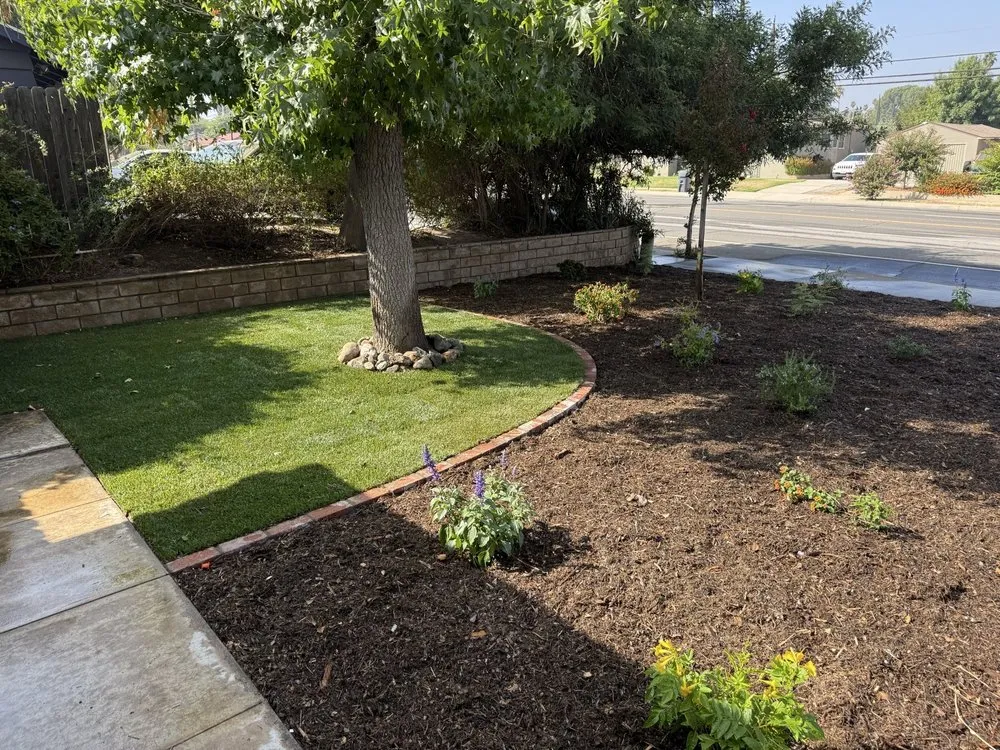 Affordable yard maintenance experts serving Hemet, CA - Aloha Landscape