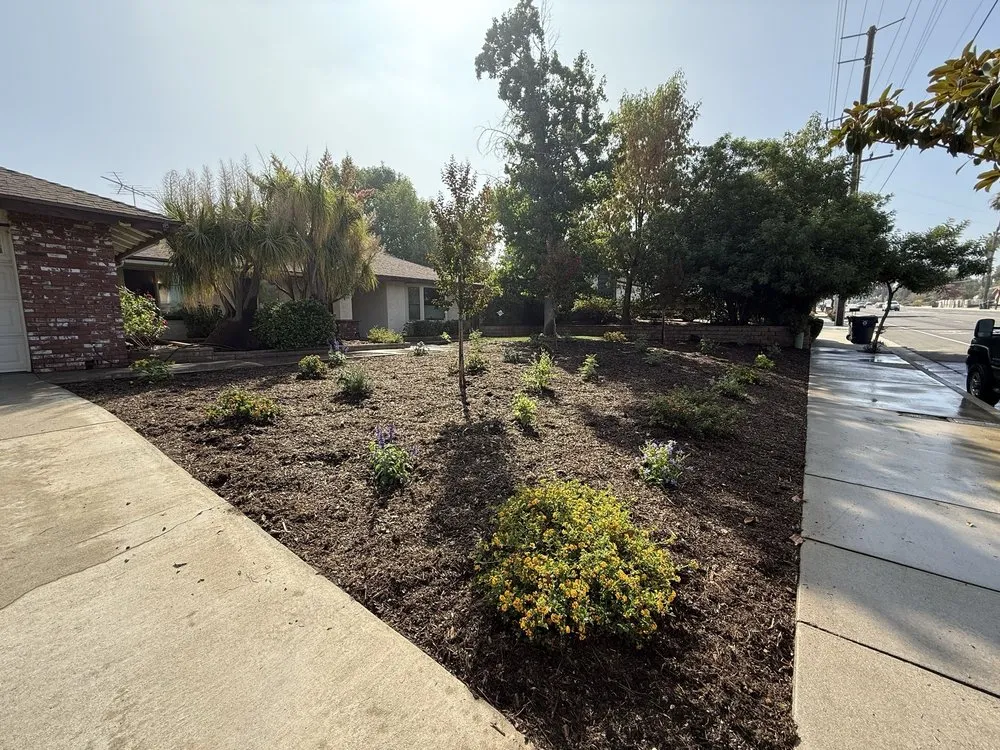 Custom landscape installation experts serving Hemet, CA - Aloha Landscape