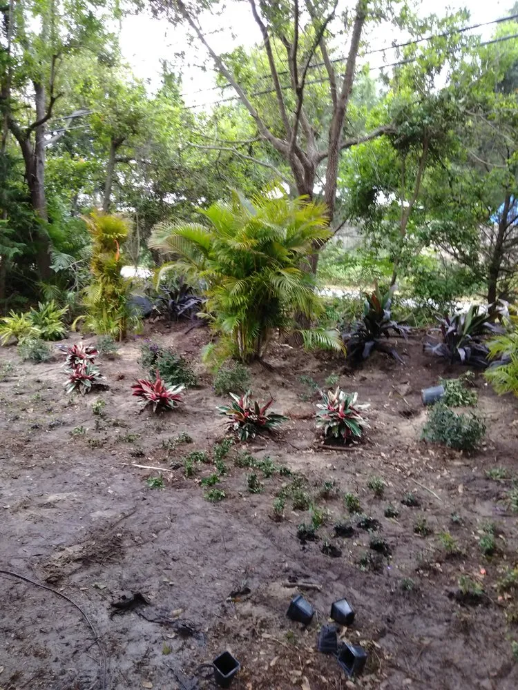 Trusted residential landscaping for homes across Clearwater, FL - Aloha Landscaping & Services