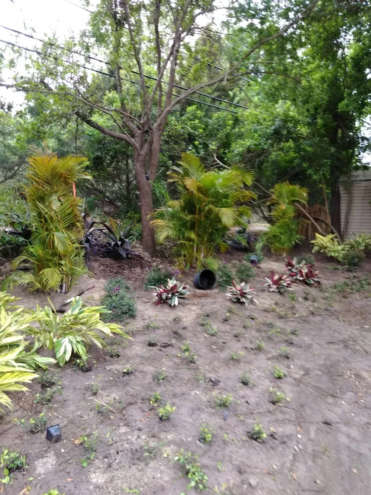 Professional yard maintenance experts serving Clearwater, FL - Aloha Landscaping & Services