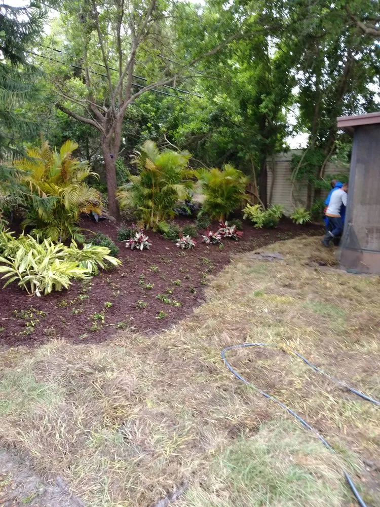 Custom landscaping services for outdoor upgrades in Clearwater, FL by Aloha Landscaping & Services