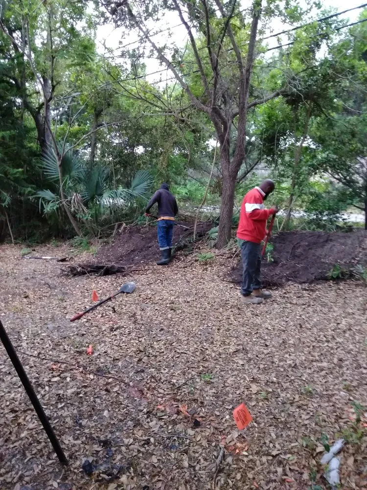 Local yard cleanup service near you across Clearwater, FL - Aloha Landscaping & Services