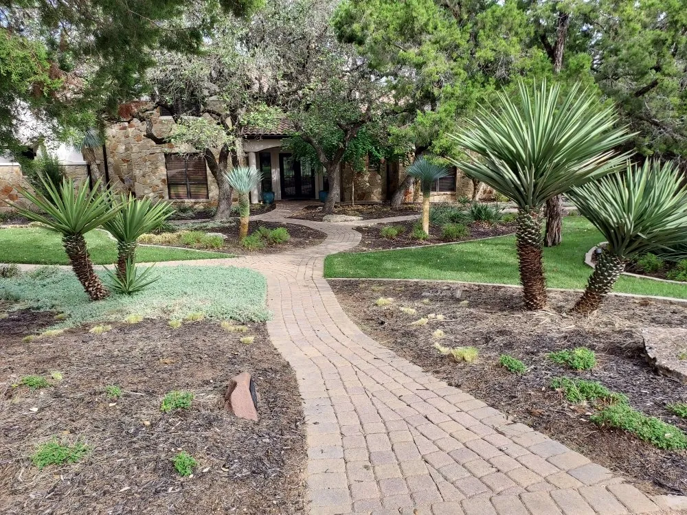 Local yard maintenance for homes in Cedar Park, TX by Aloha Landscaping