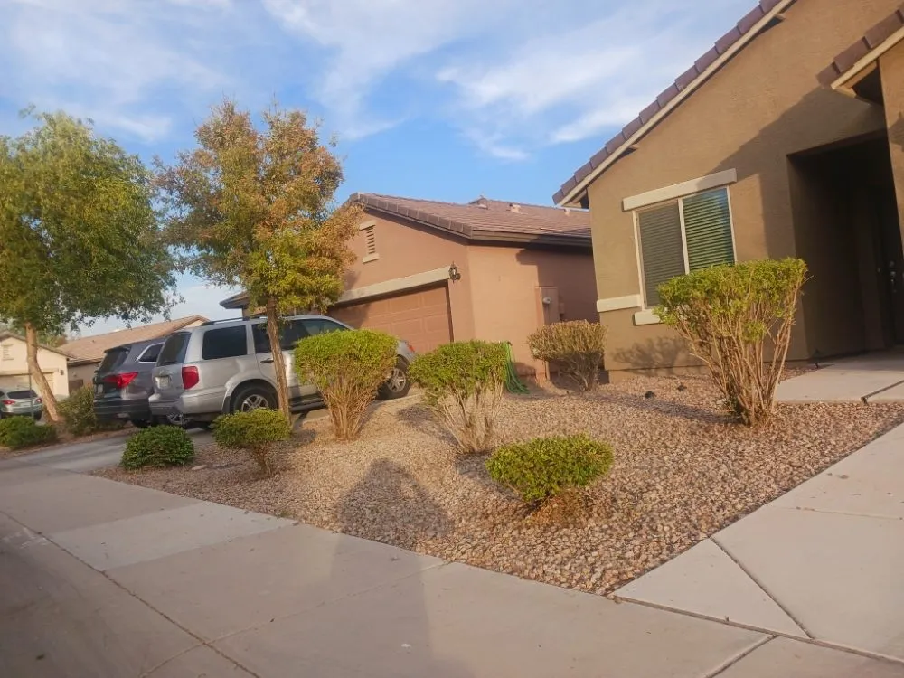 Affordable yard maintenance for year-round maintenance in Maricopa, AZ by Aloha Landscaping