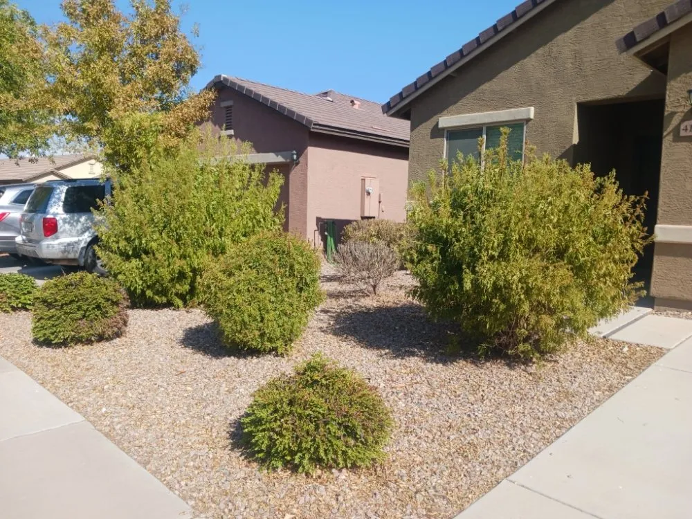 Affordable landscape installation experts serving Maricopa, AZ - Aloha Landscaping