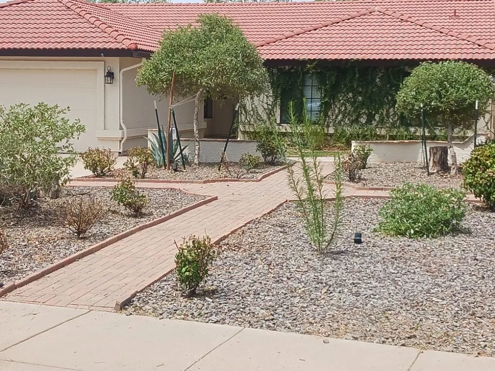 Professional lawn care service in Maricopa, AZ - Aloha Landscaping