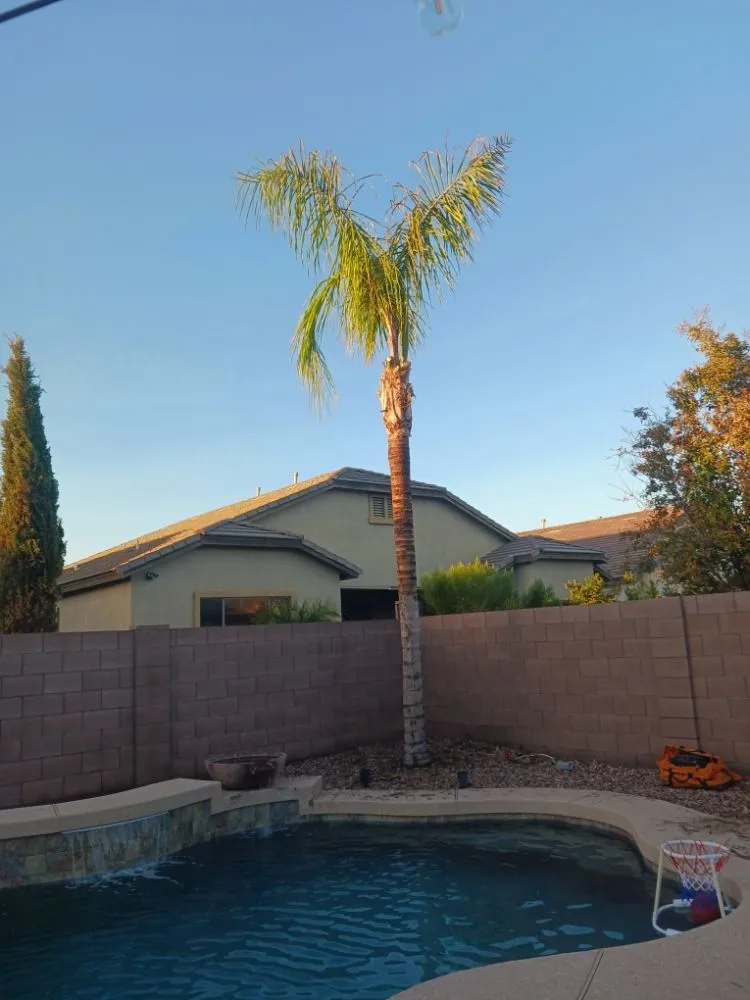 Professional landscape design in Maricopa, AZ by Aloha Landscaping