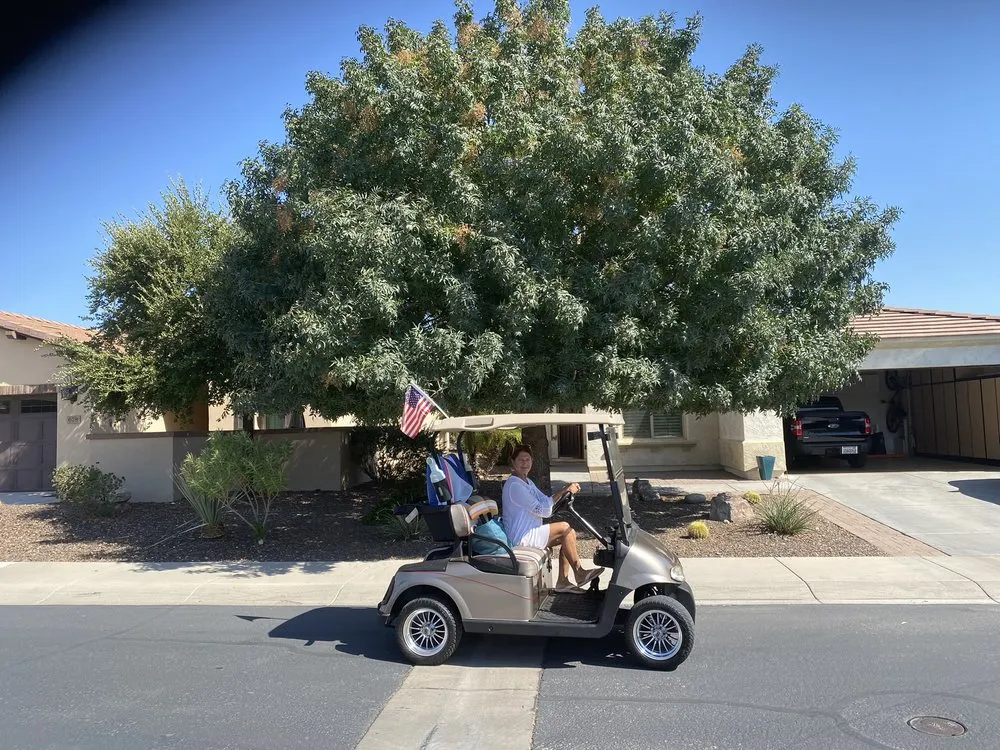 Professional landscaping services near you in Maricopa, AZ by Aloha Landscaping