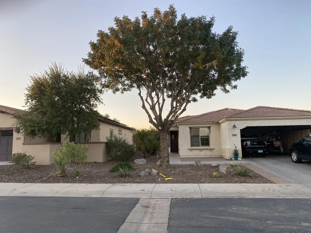 Top-rated yard maintenance in Maricopa, AZ - Aloha Landscaping