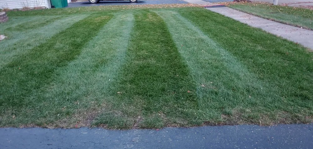 Trusted lawn care service in Joliet, IL - Aloha Lawn Care