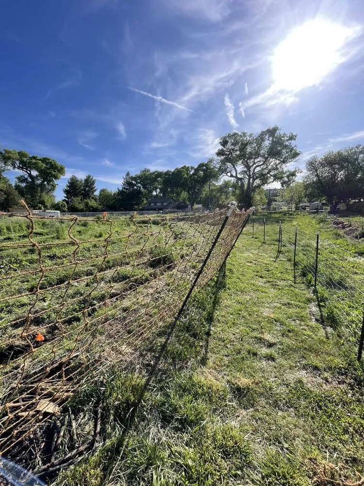 Expert yard maintenance for beautiful yards across Kula, HI - Aloha Small Yard Maintenance