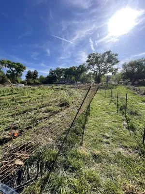 Aloha Small Yard Maintenance Logo