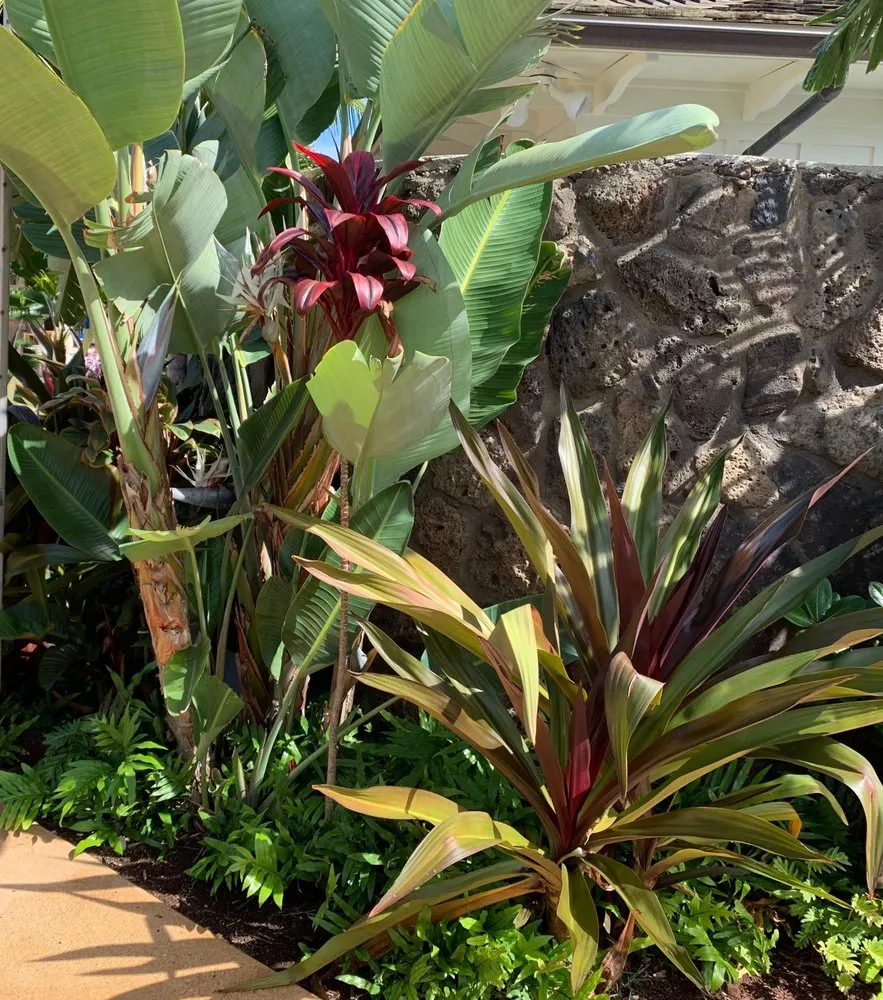 Local landscape installation experts serving Kailua, HI - Aloha Sprinkler Systems & Outdoor Design
