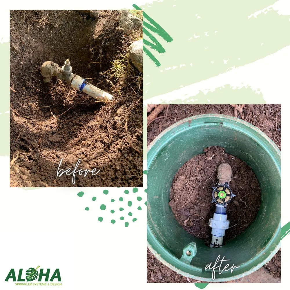 Expert landscape installation in Kailua, HI - Aloha Sprinkler Systems & Outdoor Design