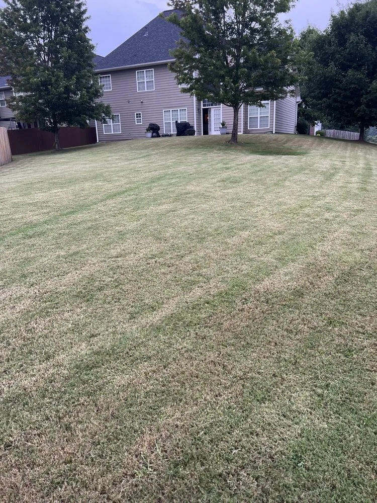 Custom yard cleanup service for beautiful yards across Mableton, GA - Aloha Total Lawn