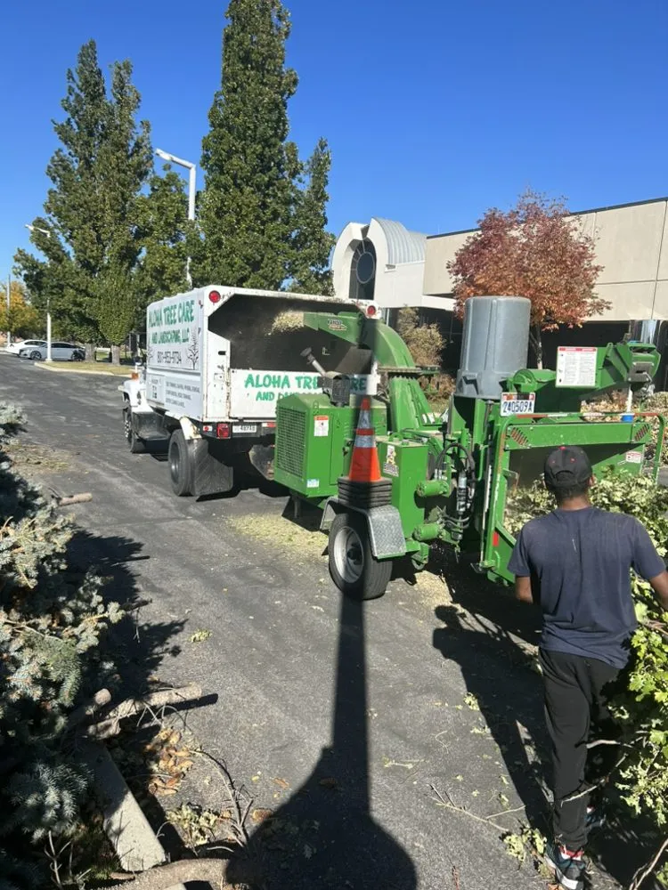 Custom landscape installation in Salt Lake City, UT by Aloha Tree & Landscaping