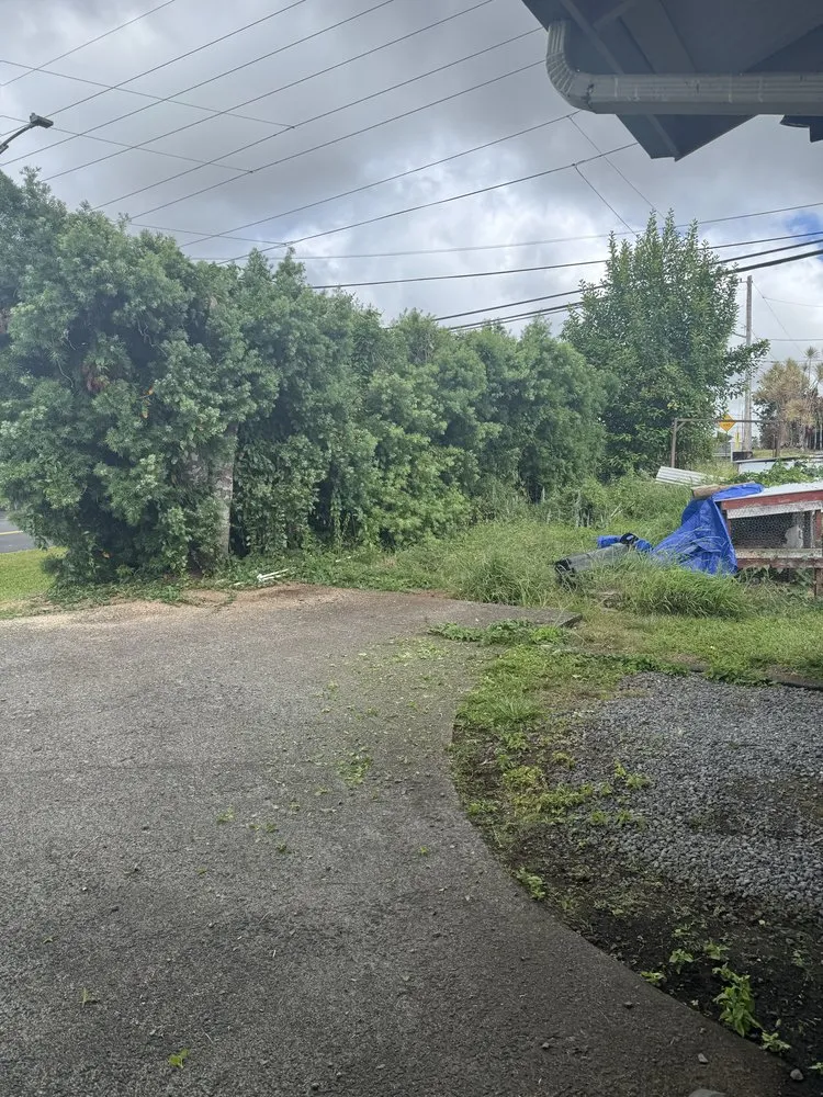 Reliable residential landscaping in Hilo, HI - Aloha Waste