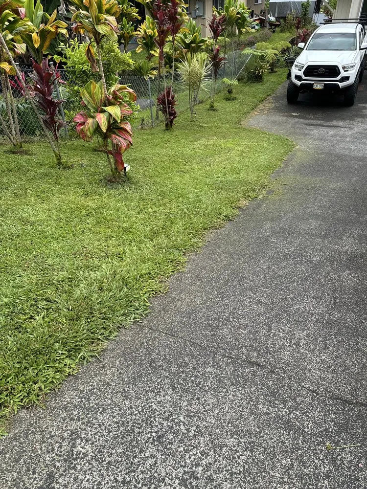 Expert yard maintenance in Hilo, HI by Aloha Waste