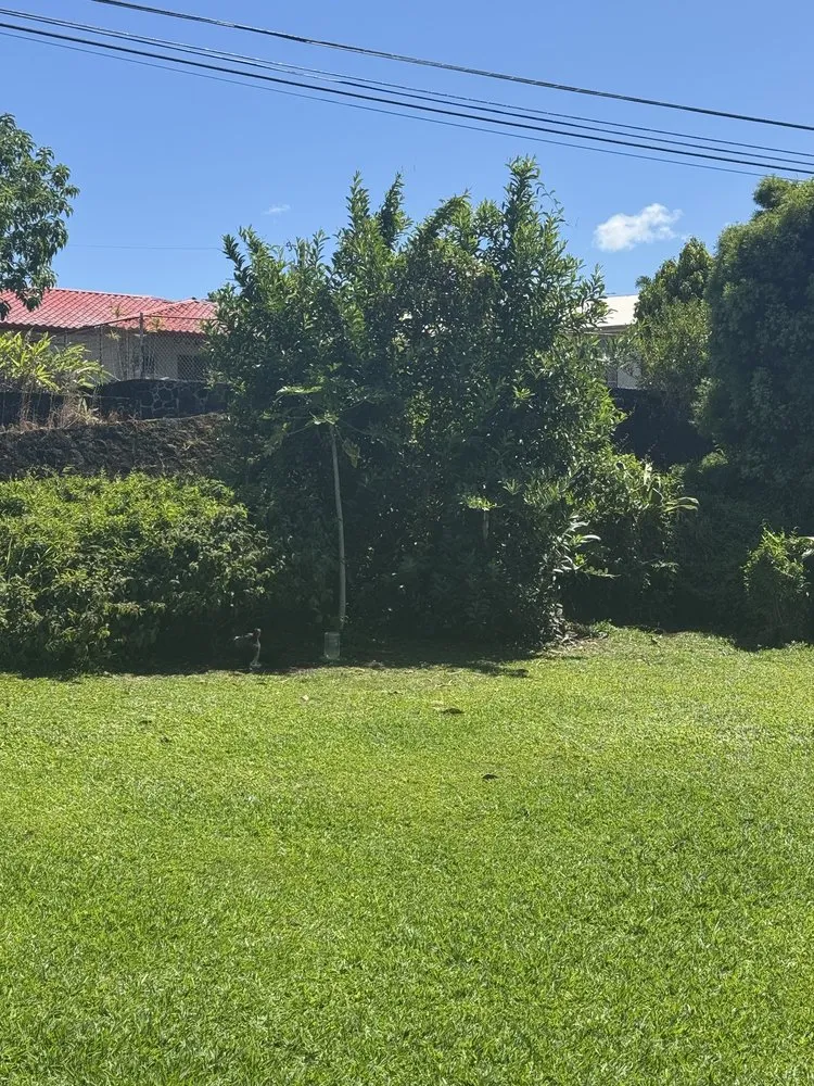 Affordable landscape installation for homes in Hilo, HI by Aloha Waste