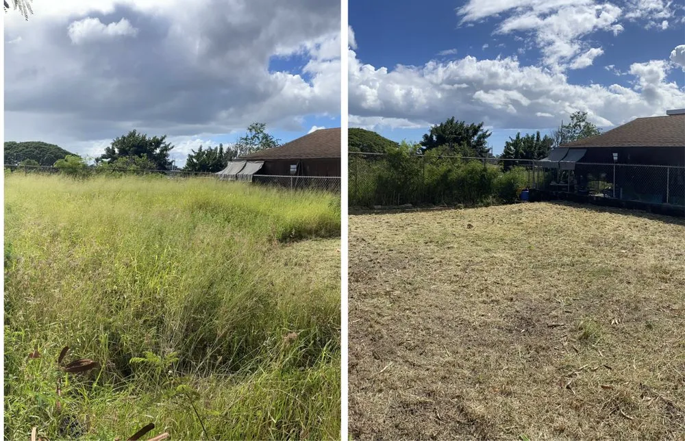 Expert residential landscaping in Waialua, HI - Aloha Yard Services