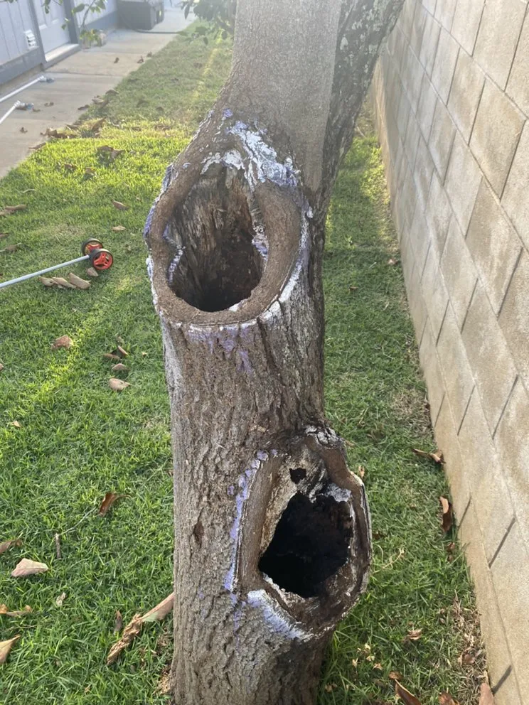 Trusted lawn mowing service experts serving Waialua, HI - Aloha Yard Services