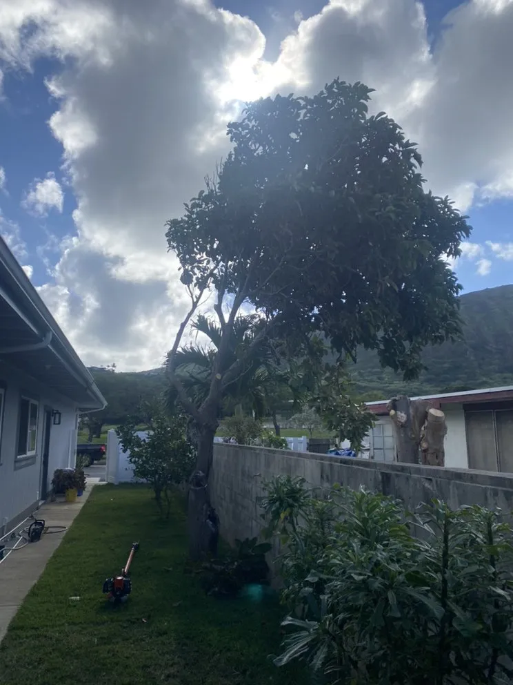 Trusted garden landscaping in Waialua, HI - Aloha Yard Services