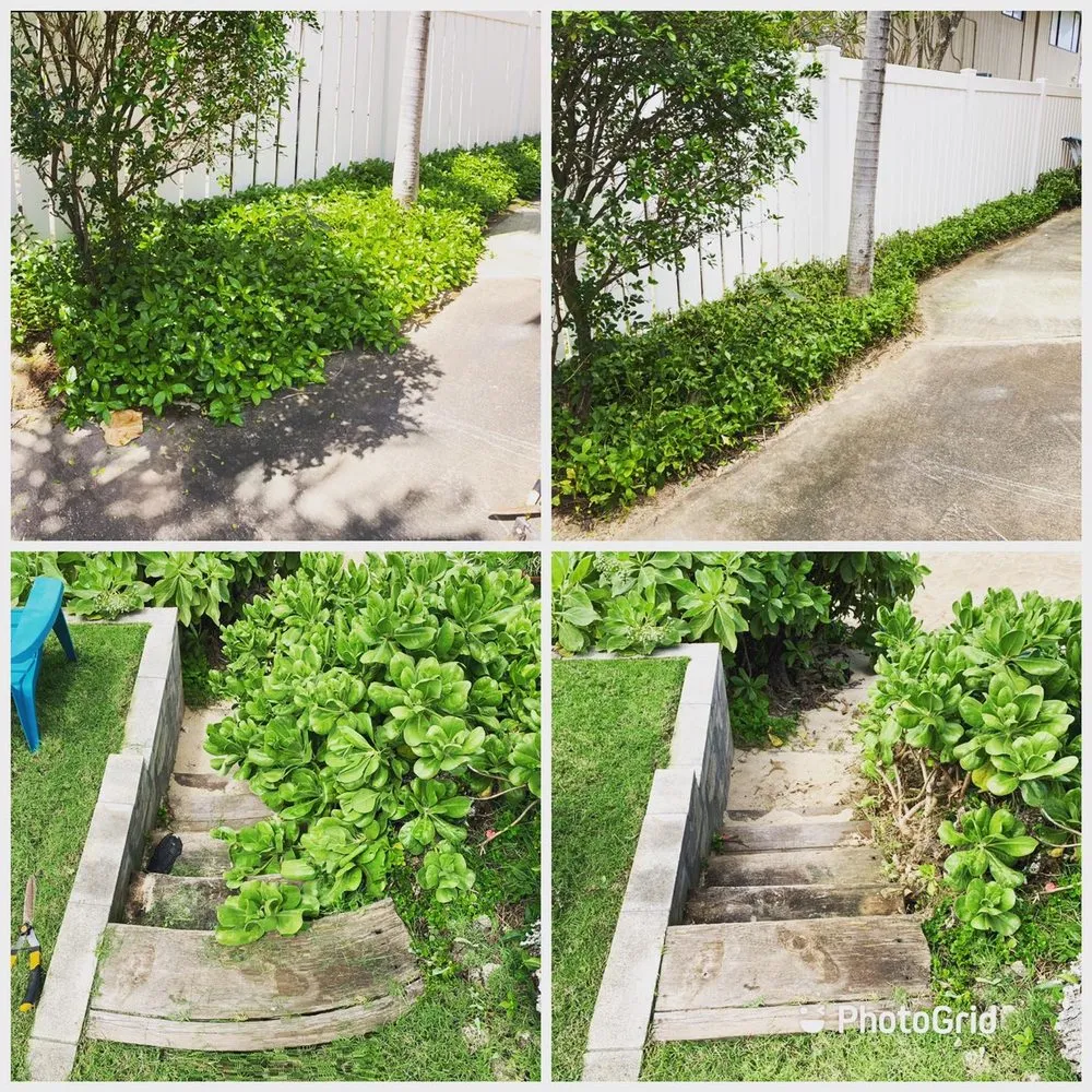 Top-rated landscape installation experts serving Waialua, HI - Aloha Yard Services