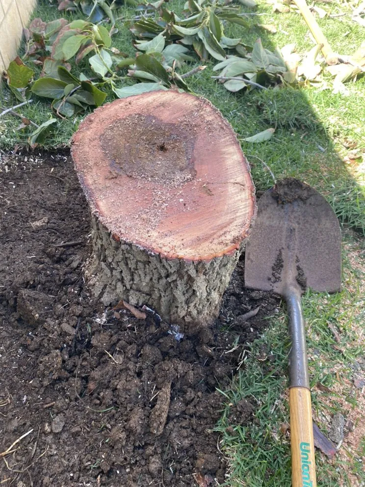 Professional yard maintenance in Waialua, HI by Aloha Yard Services