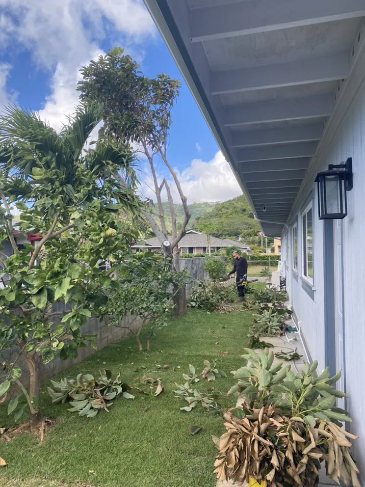 Expert lawn mowing service for residential properties across Waialua, HI - Aloha Yard Services